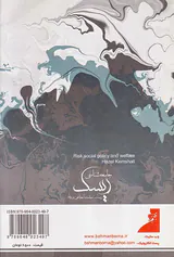 جامعه شناختی ریسک